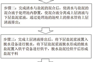 廢水處理生成的半干態鹽泥摻雜代脫硫劑處理工藝