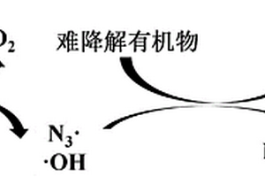 疊氮化鈉在降解有機物中的應用及臭氧處理有機廢水方法