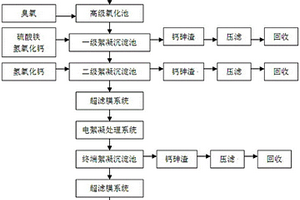 高濃度含砷廢水的工業處理方法