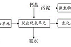 處理稀土或有色冶煉高鹽高COD廢水的系統及方法