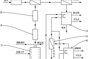 基于超臨界水氧化處理高鹽有機廢水的工藝與系統
