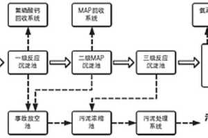 磷銨化工廢水的處理系統及處理方法