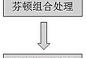 廢水中藥品和個人護理品的去除方法