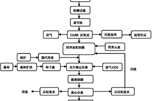 利用生物丁醇的工業廢水廢氣生產微藻的方法及其應用