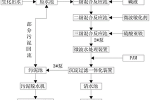 煤化工廢水處理深度去除CODcr處理系統