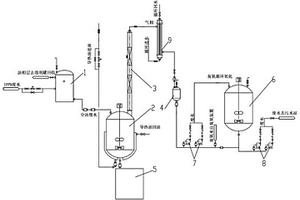 IPPD廢水處理系統及方法