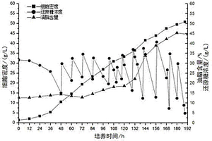 培養高密度油脂微藻處理酵母工業廢水的方法