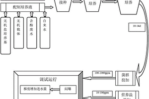 強化處理工業高含酚廢水的方法