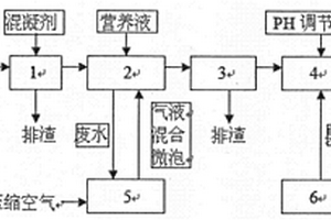 精煉制糖工業廢水處理裝置