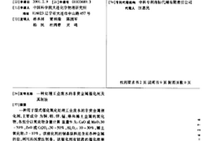 處理工業廢水的非貴金屬催化劑及其制法