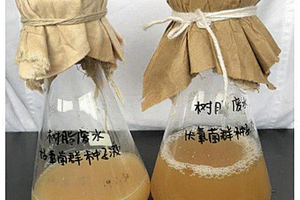 降解工業廢水特定微生物菌群的篩選及培養方法