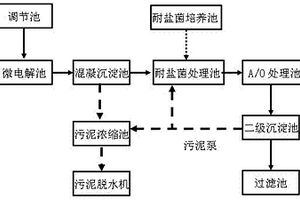處理高鹽、難生物降解、有毒的工業廢水處理裝置及工藝