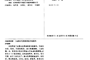 工業廢水處理高效復合混凝劑