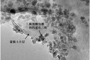 用于去除工業廢水中重金屬離子和有機物的改性四氧化三鐵納米復合物及制備方法