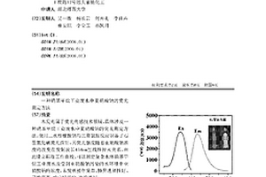 硝基甲烷工業廢水中亞硝酸鈉的熒光測定方法