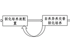 自養異養交替混合培養的苦鹽水微綠藻及其在苦咸工業廢水處理中的應用