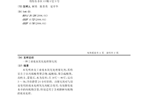 工業廢水氧化處理催化劑