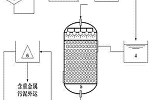 生物反應和化學淋洗結合的工業廢水重金屬污染的處理系統