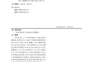 高效處理工業廢水的生物載體