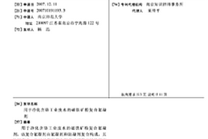 用于凈化含鉻工業廢水的磁鐵礦粉復合絮凝劑