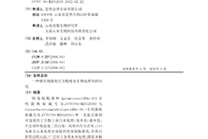 微生物菌劑在含酚廢水生物處理中的應用