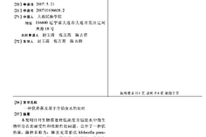 優勢菌及用于含鉛廢水的處理