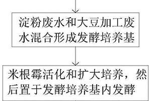 利用淀粉廢水、大豆加工廢水發酵生產乳酸的方法