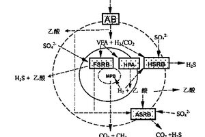 硫酸鹽廢水處理中微生物代謝類型調控方法