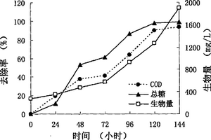 利用一株光合細菌處理淀粉廢水并實現廢水資源化的方法