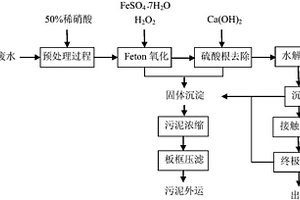 DPT生產廢水處理工藝