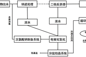 電催化氧化裝置、煤化工企業廢水零排放系統