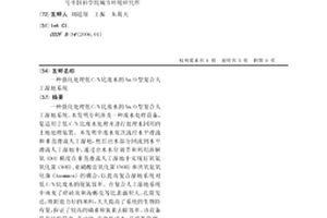 強化處理低C/N比廢水的An/O型復合人工濕地系統