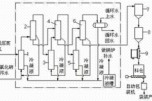 含氯化鈉的廢水的處理系統及其處理方法
