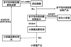 微生物發酵生產PUFA的廢水循環再利用的方法