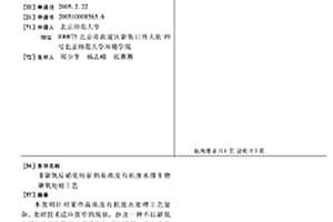 非缺氧反硝化特征的高濃度有機廢水微生物缺氧處理工藝