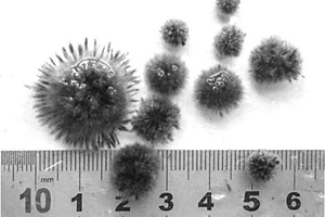 用于廢水處理的柔性生物球及其培養方法