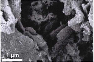 煅燒型雙金屬MOFs/g-C3N4臭氧催化劑制備及在滌綸堿減量印染廢水預處理中的應用