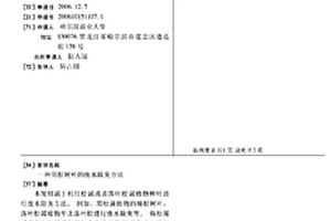 用松樹葉的廢水除臭方法