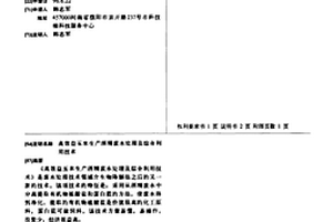 高效益玉米生產酒精廢水處理及綜合利用技術