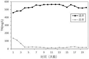 用于高鹽廢水脫總氮的復(fù)合功能菌劑及其應(yīng)用