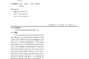 造纸废水高效生物强化处理工艺