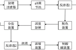 石化高盐废水资源化利用工艺及装置