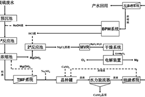 火力發電廠脫硫廢水的資源化處理工藝