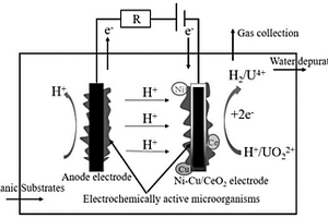微生物電解池及含鈾廢水的處理方法