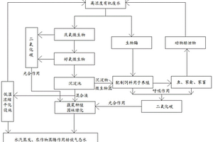 高濃度有機廢水碳中和、零排放處理工藝