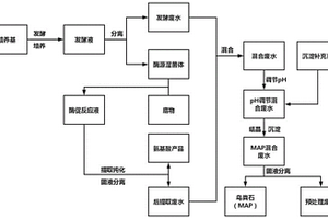 生物酶法生產氨基酸產生廢水的綜合處理方法及在制備鳥糞石中的應用