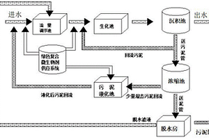 綠色復合微生物劑進行廢水處理和除臭的方法及處理裝置