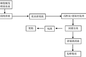 賴氨酸發酵液廢水濃縮液的處理方法和發酵生產賴氨酸的方法