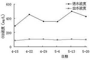 齒果酸模在處理畜禽養殖廢水中的應用