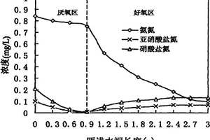 應用人工濕地處理循環海水養殖中廢水的方法